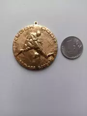 Вольная борьба, Кубок СССР, Липецк-88, Спортлото, редкая медаль, легкий, лот 2