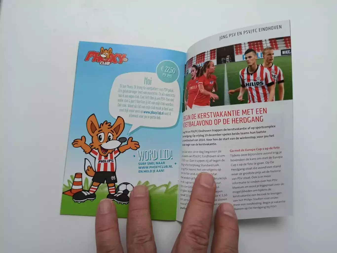 Еврокубки, Лига Европы, 2014, ПСВ (Эйндховен, Голландия) - Динамо (Москва) 2