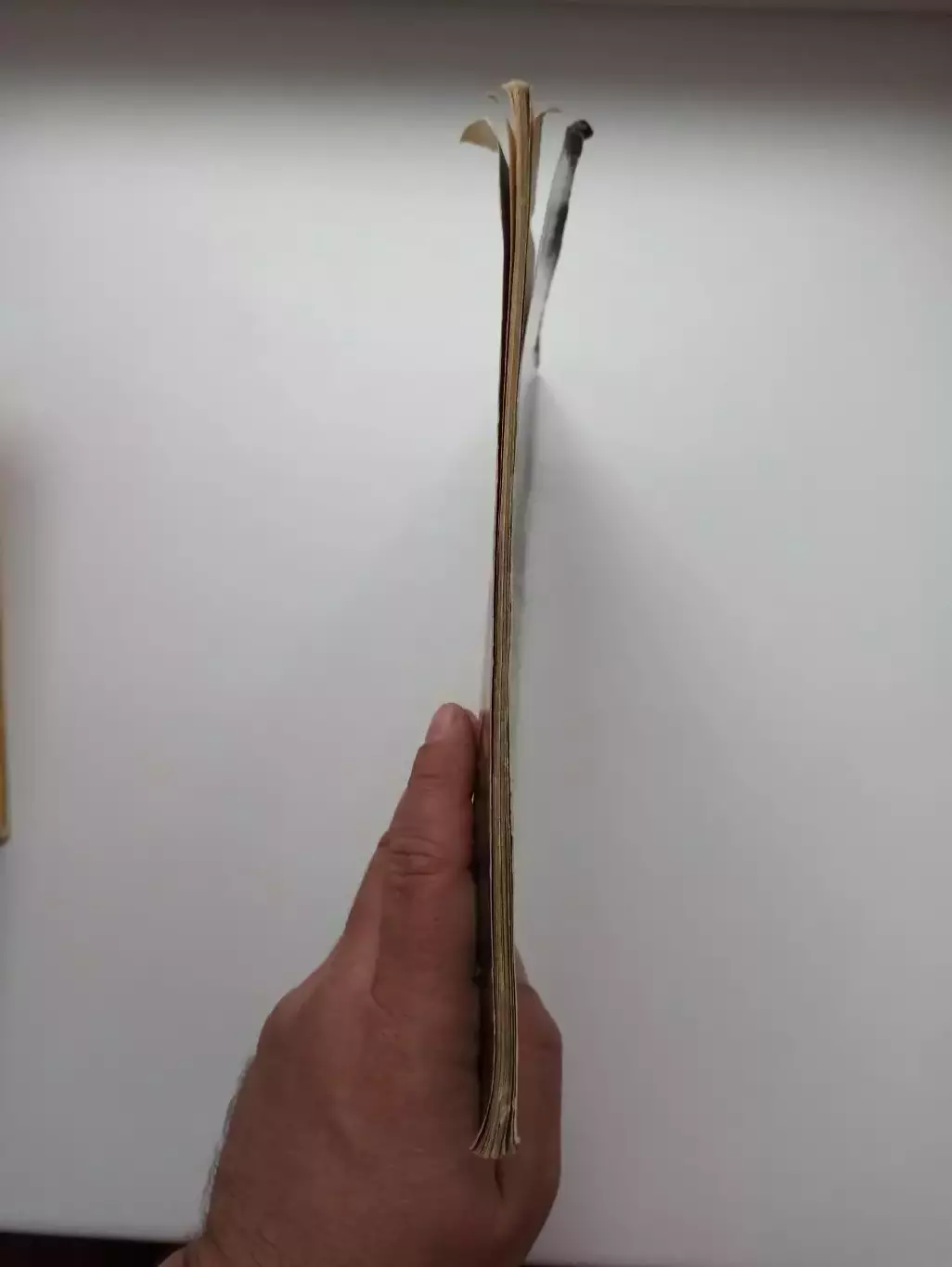 Фигурное катание, Елена Чайковская, О чем поют коньки, Малыш, 1981г. 5