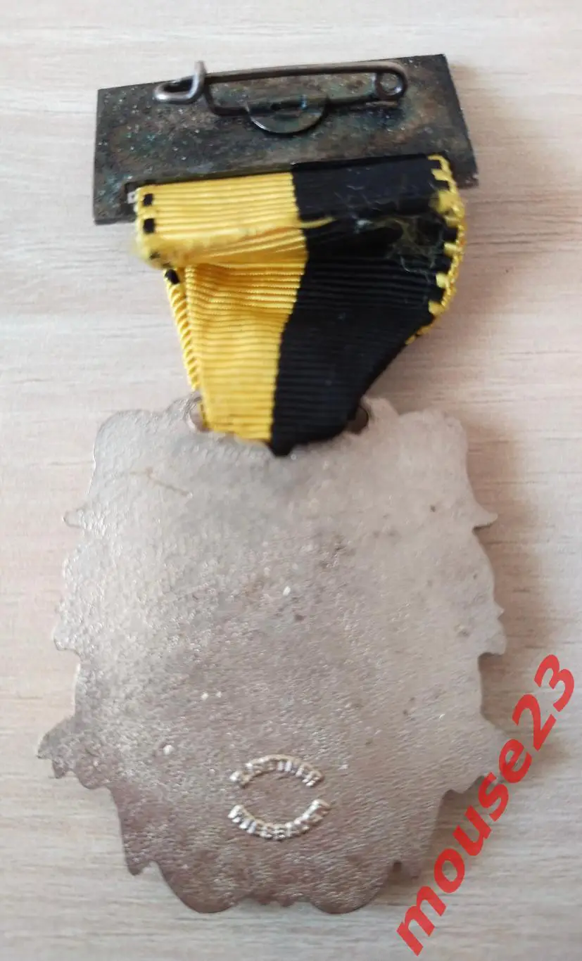 Нагрудный знак. 1-й поход на Львов 1976г. 1