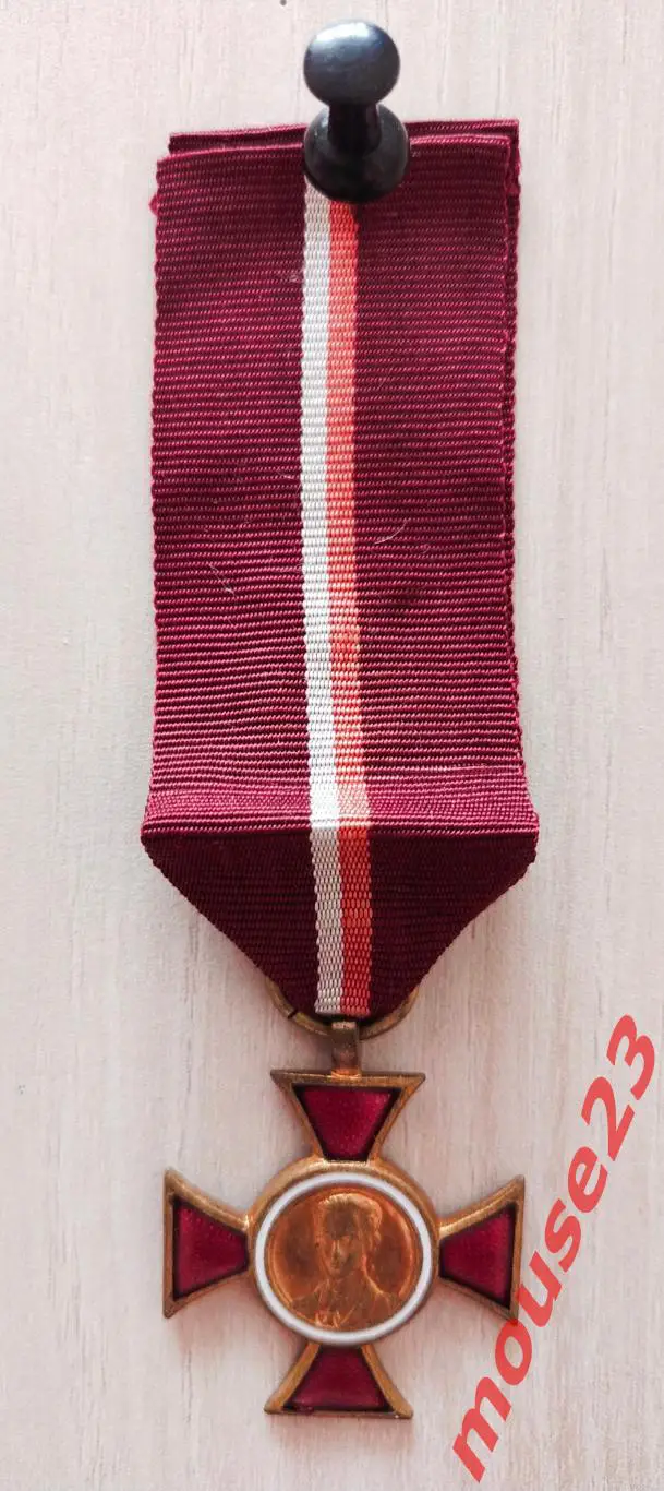 Знак отличия «Крест Яна Красицкого» 1-я степень.