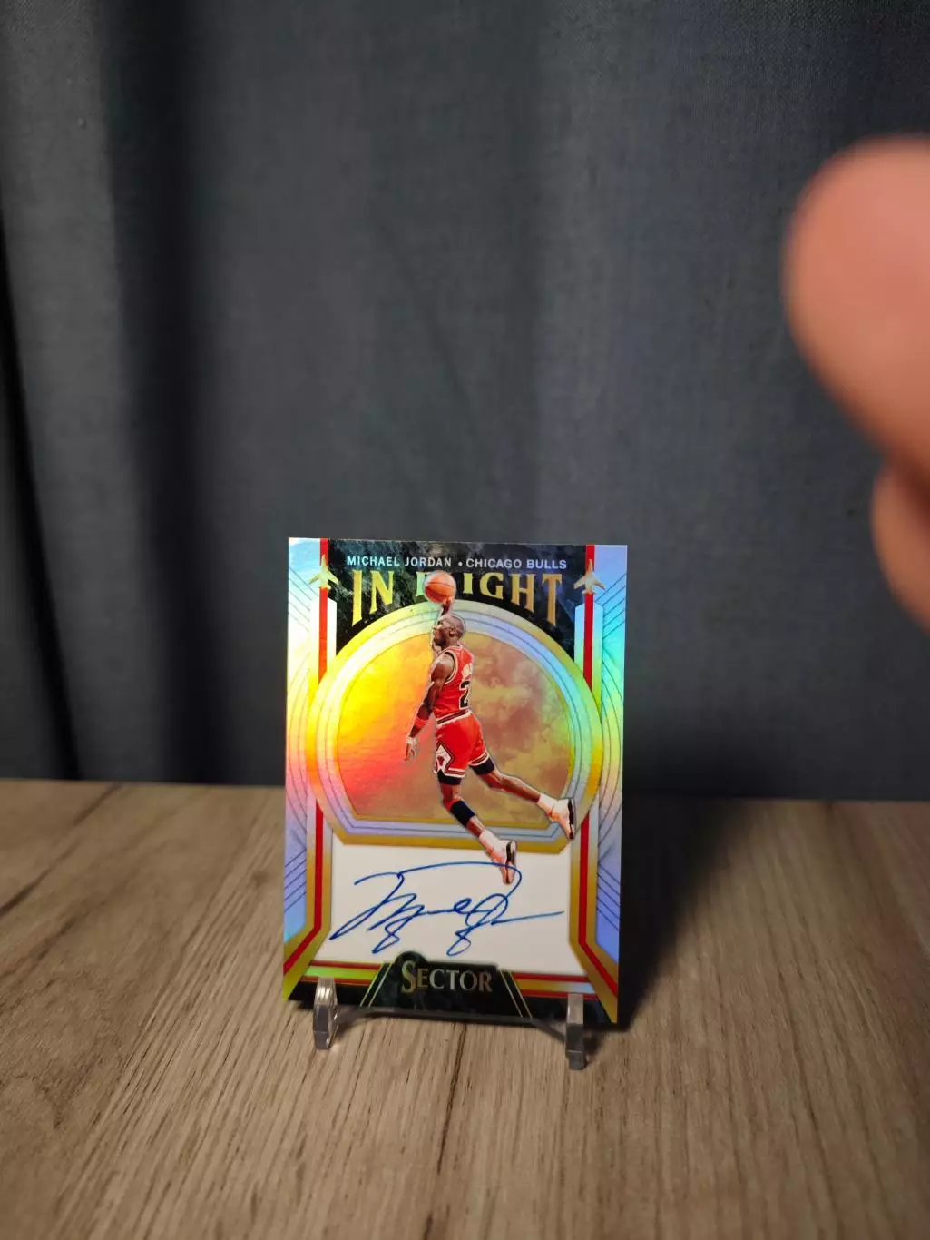 CLS Sector IN Flight Michael Jordan 1