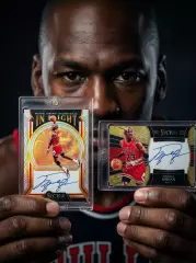 CLS Sector IN Flight Michael Jordan