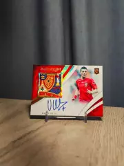 1/1 Magnificent Collection David Villa