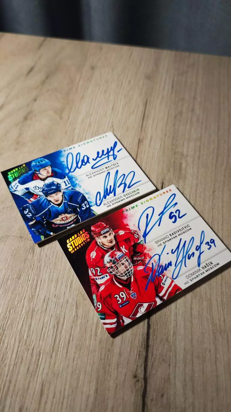 CLS PRIME SIGNATURES Гашек/Радивоевич Hasek/Radivojevic 5