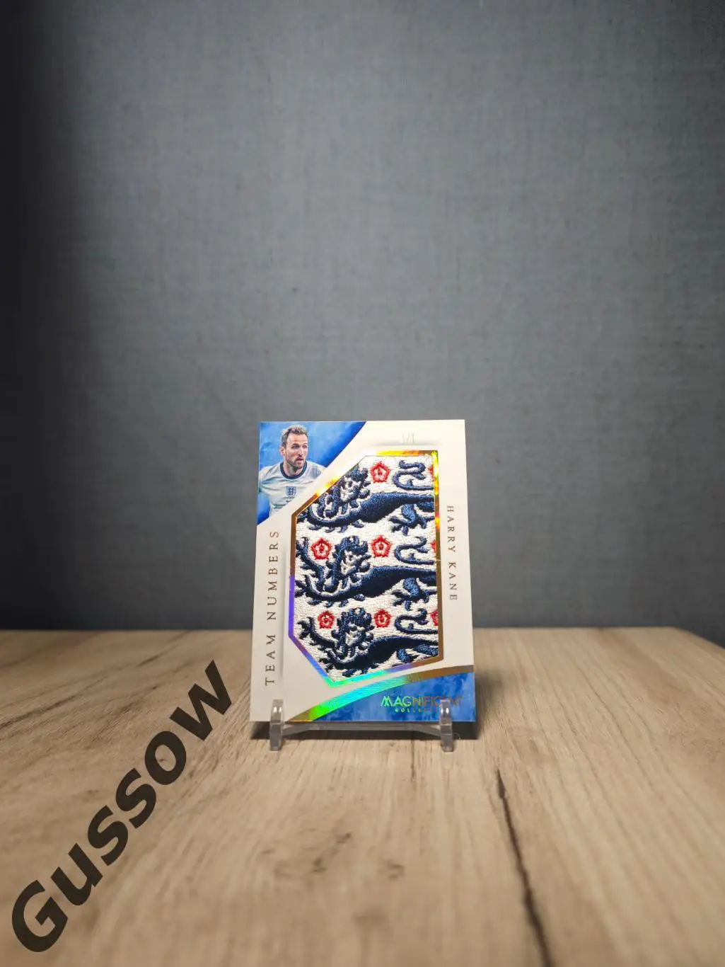 Magnificent Collection Harry Kane 1/1