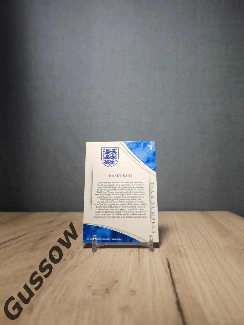 Magnificent Collection Harry Kane 1/1 1