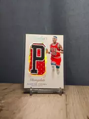 CLS Flawless Nameplate Scottie Pippen One Of One P