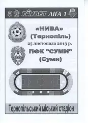 Нива Тернопіль - ФК Суми 25.11.2013