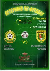 Нива Тернопіль - Буковина Чернівці 30.06.2019 (ветерани)