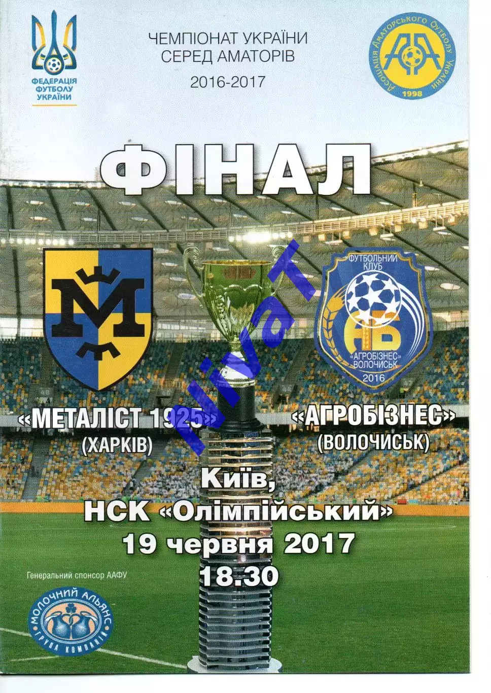 Металіст-1925 Харків - Агробізнес Волочиськ 19.06.2017