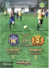 Агробізнес Волочиськ - ФК Малинськ 13.05.2017