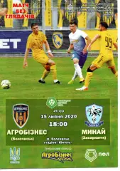 Агробізнес Волочиськ - ФК Минай 15.07.2020