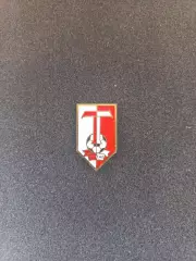 Значок - ФК Темп Шепетівка (1)