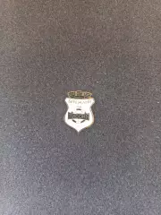 Значок - ФК Лисоня Бережани