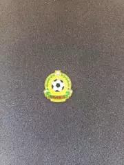Значок - ФК Нива Тернопіль