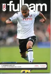 Фулхем - Сандерленд 2010 Fulham - Sunderland