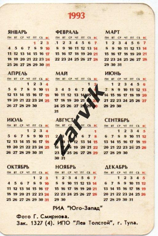 Календарик - 1993 - Кошка 1