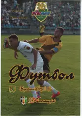 Буковина Чернівці - ФК Олександрія 18.10.2014