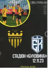 Буковина Чернівці - Епіцентр Кам'янець-Подільський 12.11.2023 #2