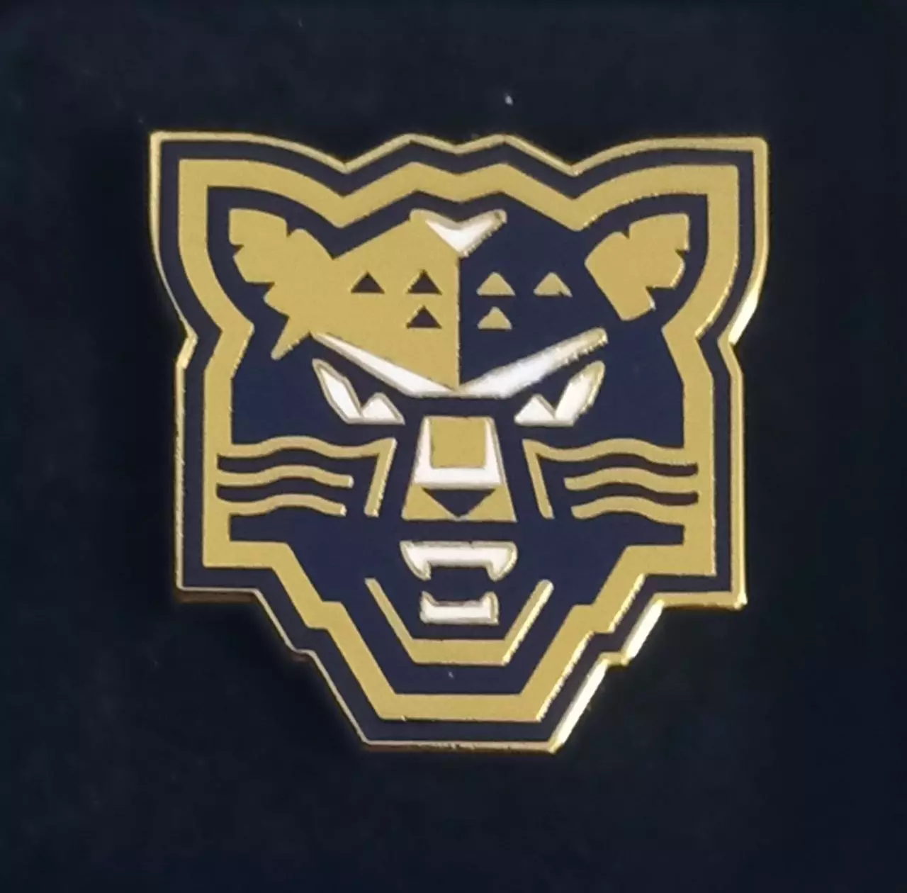 Значок ХК Сочи. 1