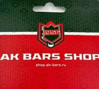 Значок Ак Барс Казань 1956