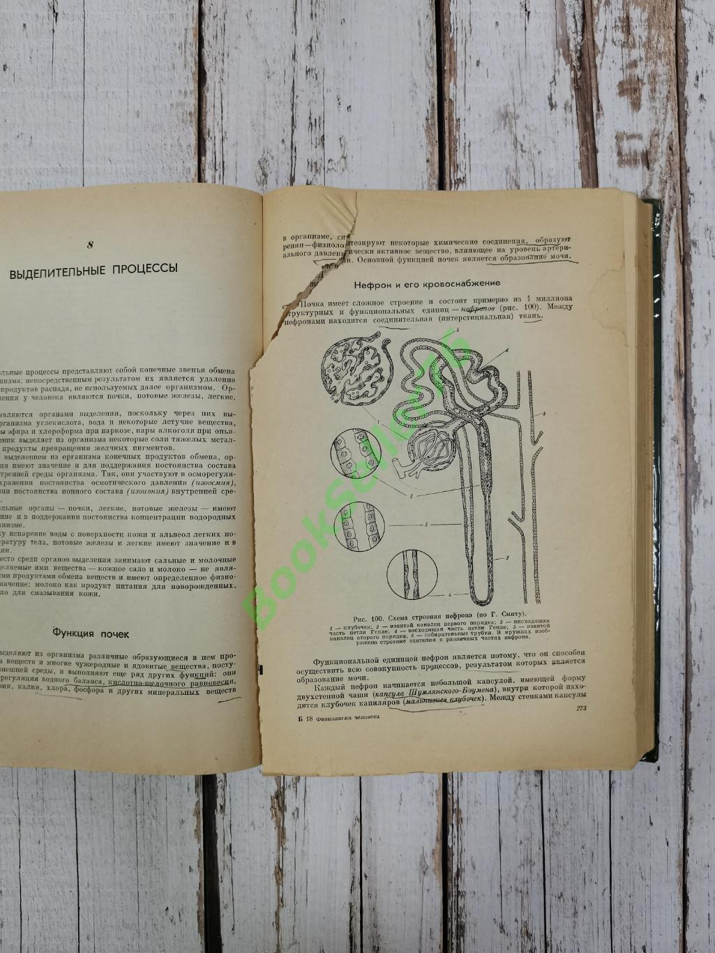 Бабский Е.Б., Зубков А.А. Физиология человека, 656 стр., 1966 г. Медицина СССР 5