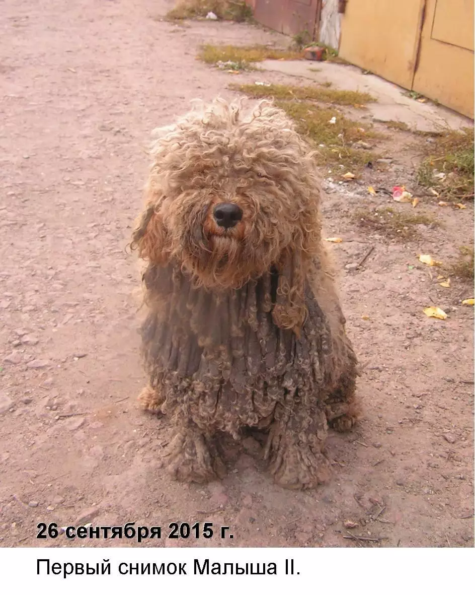 Нос Малыша книга + автограф 1