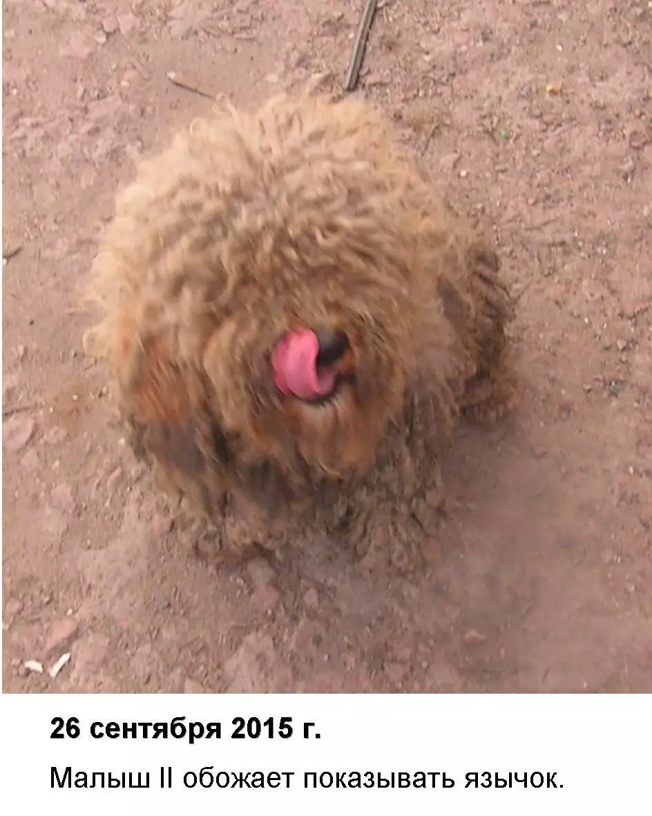 Нос Малыша книга + автограф 2