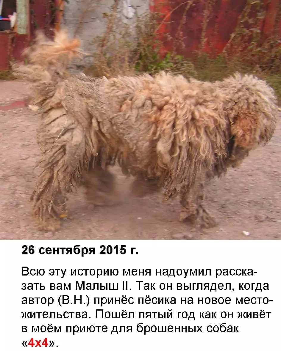 Нос Малыша книга + автограф 3