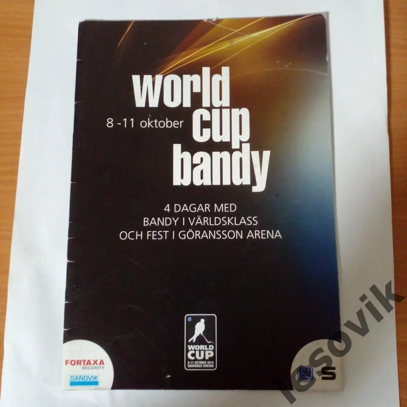 Буклет Кубок мира по хоккею с мячом. 2015 год.