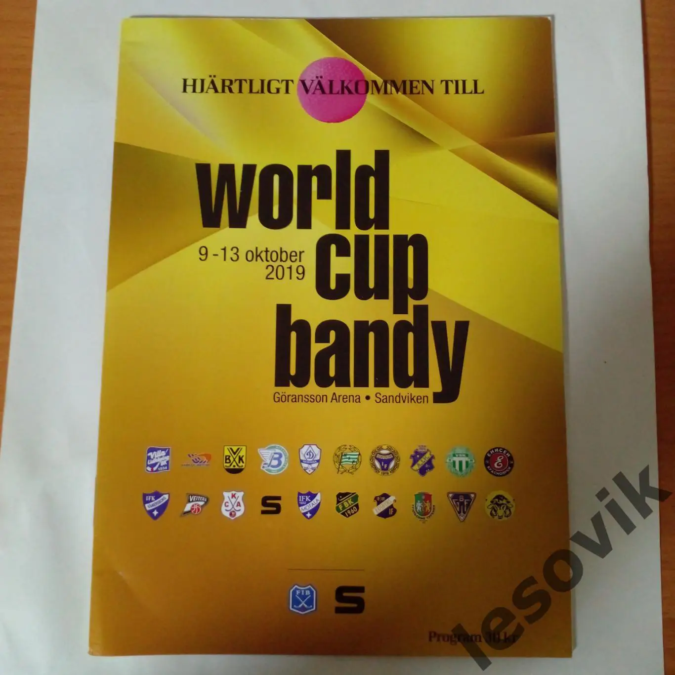 Буклет Кубок мира по хоккею с мячом. 2019 год.