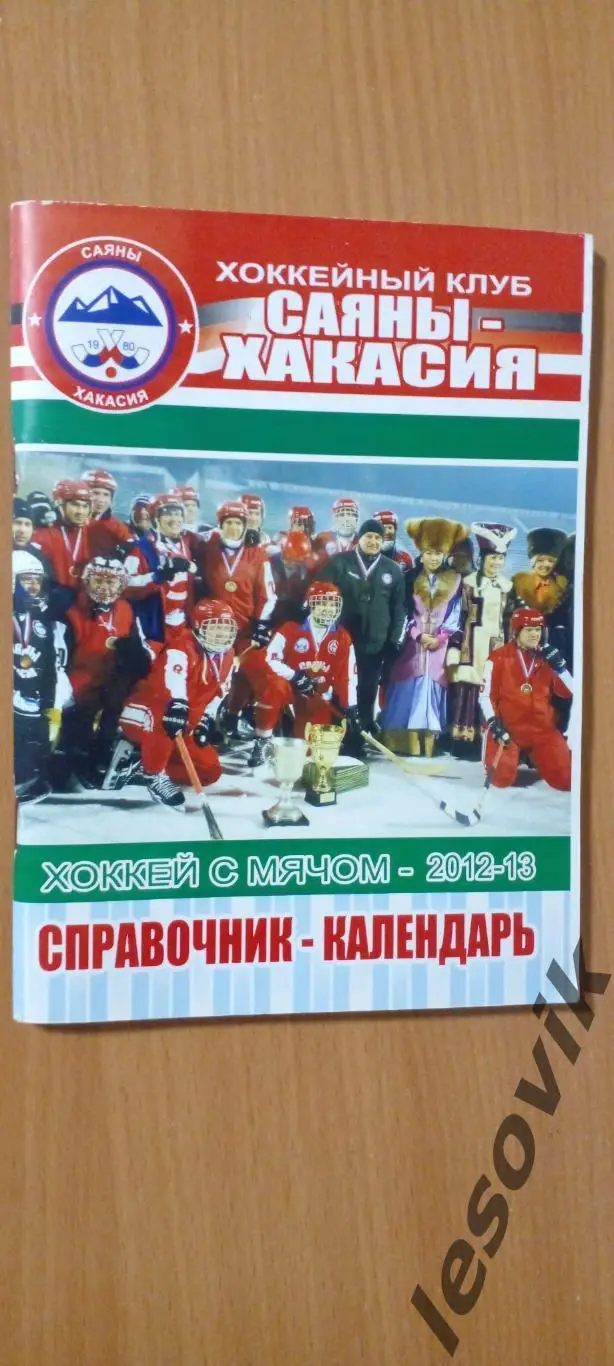 Саяны-Хакасия (Абакан) 2012-2013. Хоккей с мячом