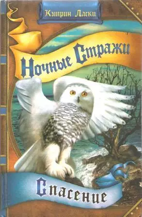 Ночные стражи. Спасение