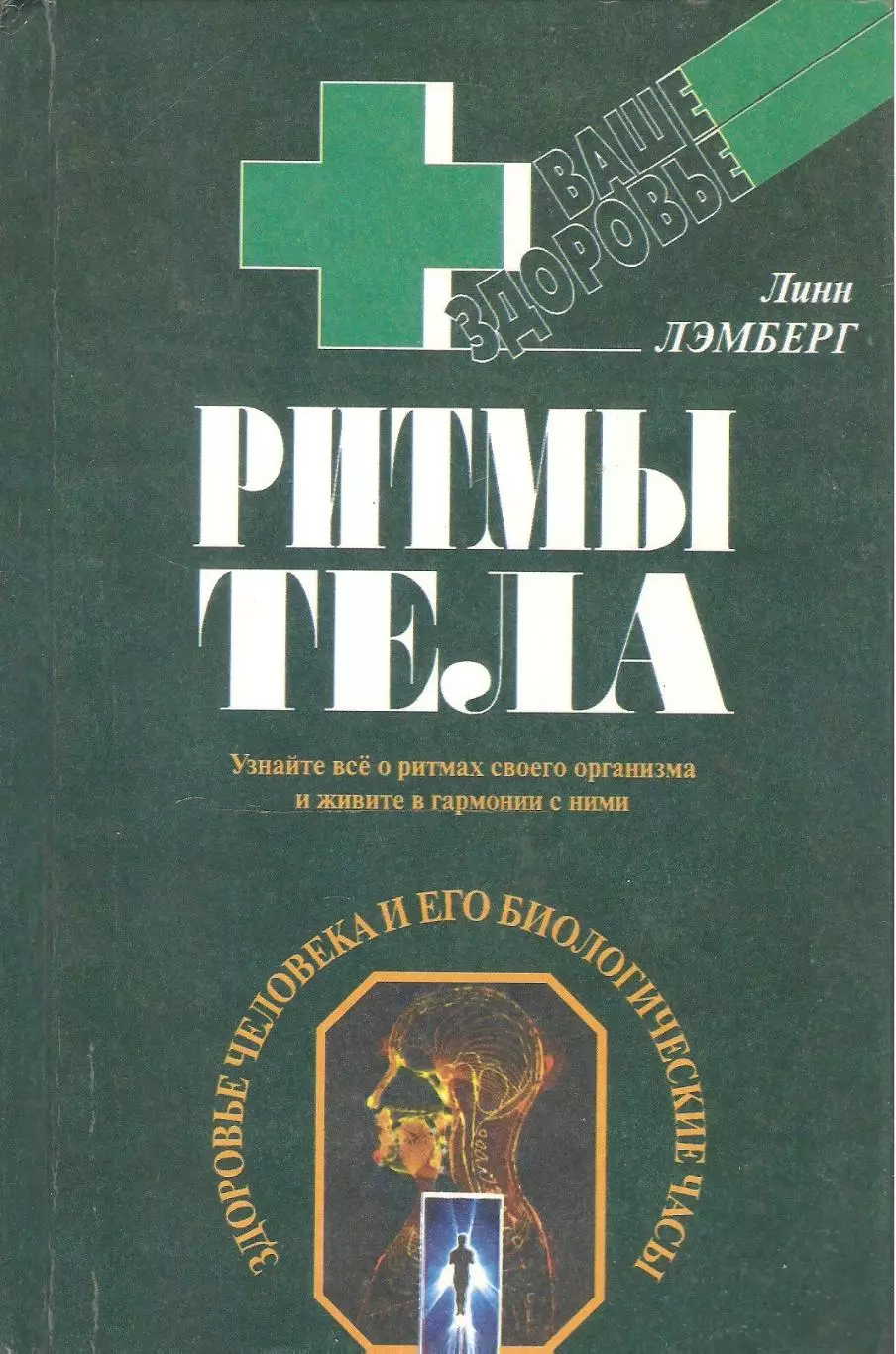 Ритмы тела. Здоровье человека и его биологические часы