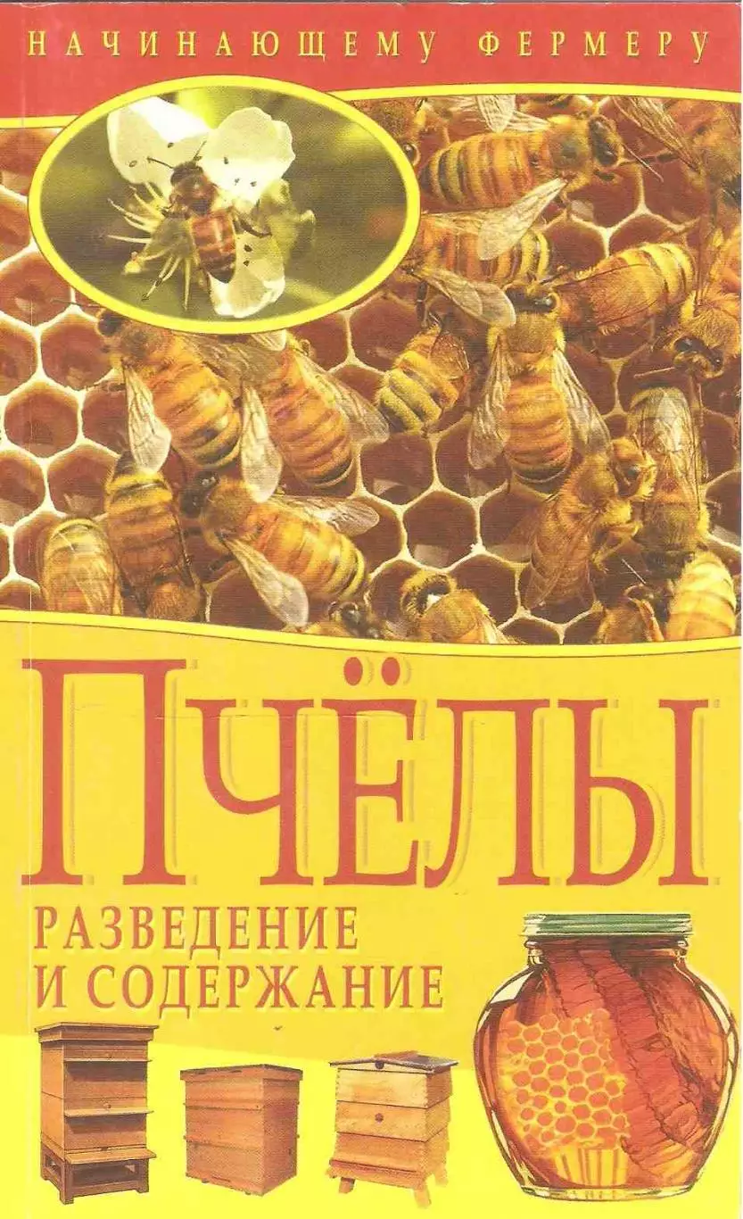 Пчелы. Разведение и содержание