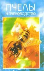 Пчелы и пчеловодство