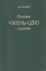 Основы чжень-цзю терапии