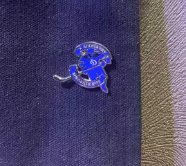 Значок хоккей динамо Александр Мальцев кхл