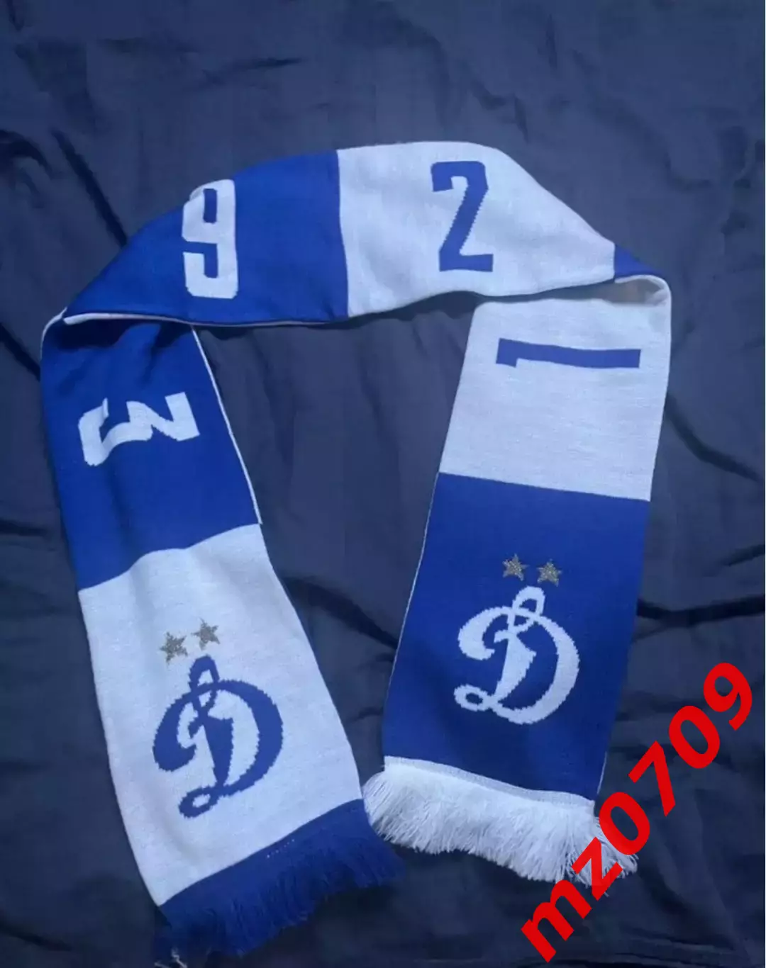 Шарф динамо футбол рпл рфпл 1923 Россия