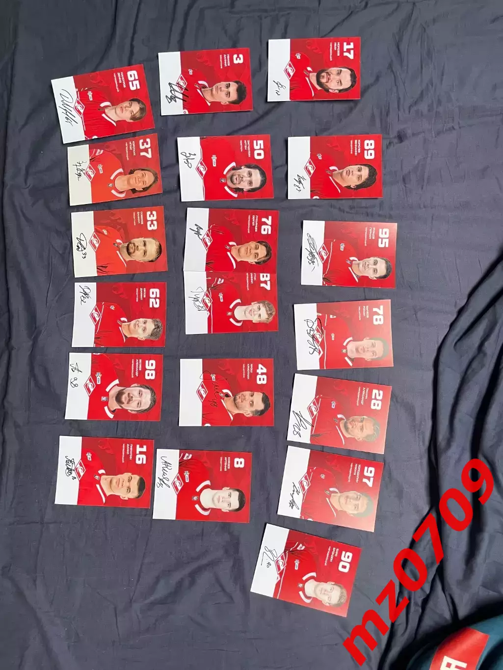 Набор автографов хоккей хк спартак кхл спартак 2025/2026