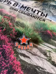 Значок хоккей логотип звезда официальный цска хк цска кхл вхл мхл Россия