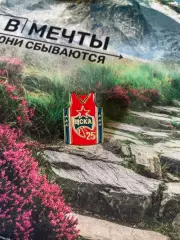 Значок баскетбол официальный майка джерси цска бк цска пбк цска единая лига втб