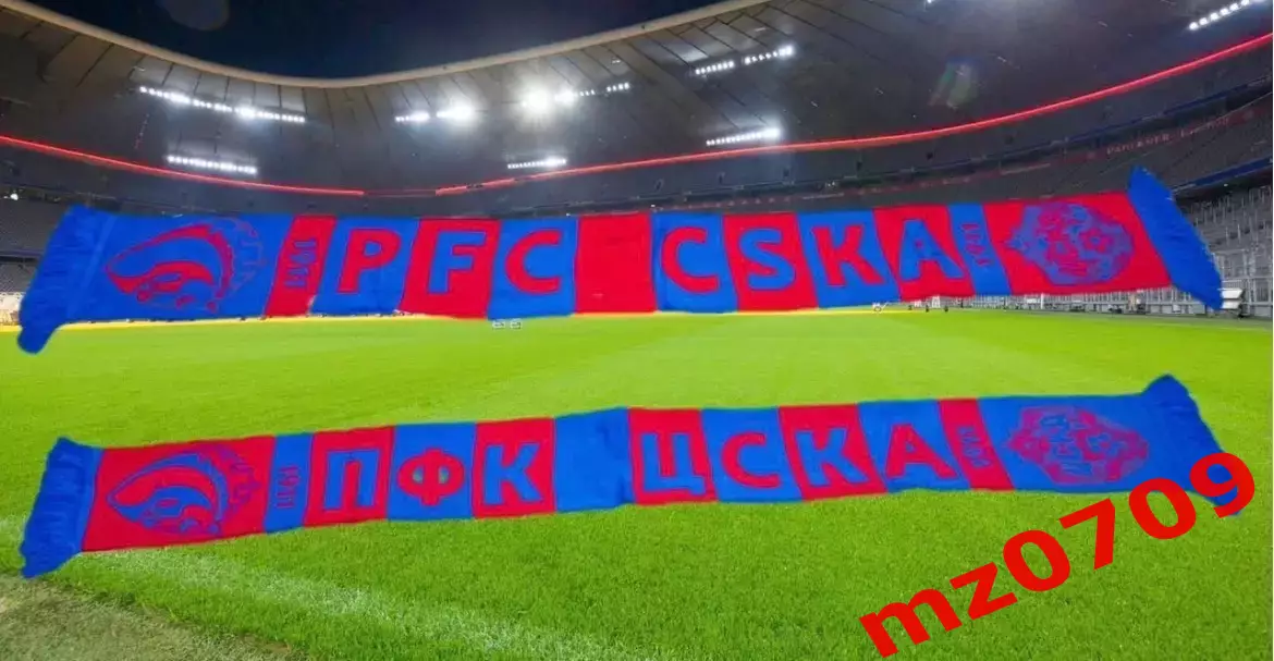 Шарф футбол цска логотип и конь 1911 рпл рфпл фк цска