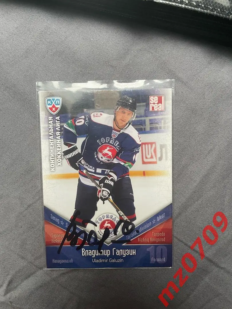 автограф Владимир Галузин кхл торпедо витязь ак барс нефтехимик амур спартак