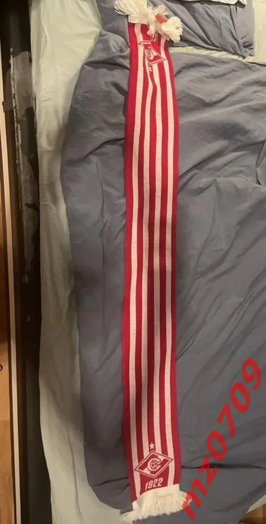 шарф фк спартак рпл 1