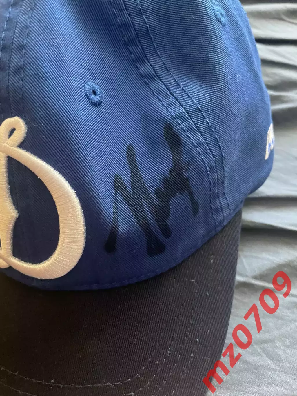 Кепка фк динамо хк динамо автограф Николай Толстых 1