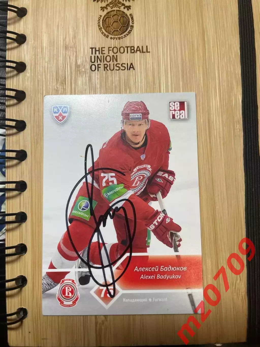 автограф Алексей Бадюков хк витязь