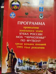 Кубок Черноземья по футболу среди команд юношей 1995 года рождения 2008