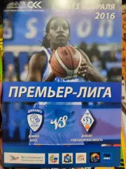 Премьер-Лига. Динамо Курск - Динамо Новосибирск. 13.02.2016